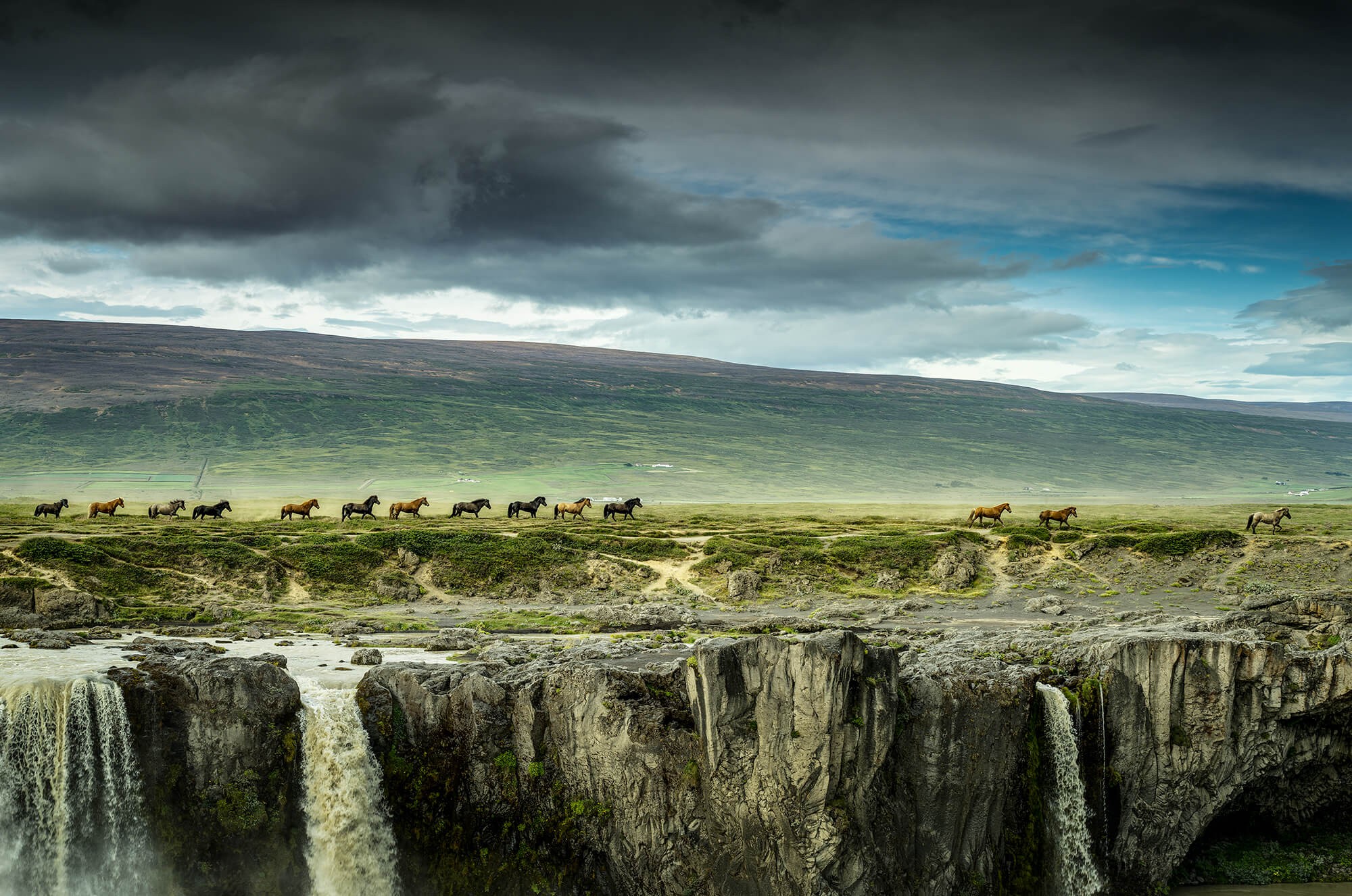 Paarden bij Godafoss