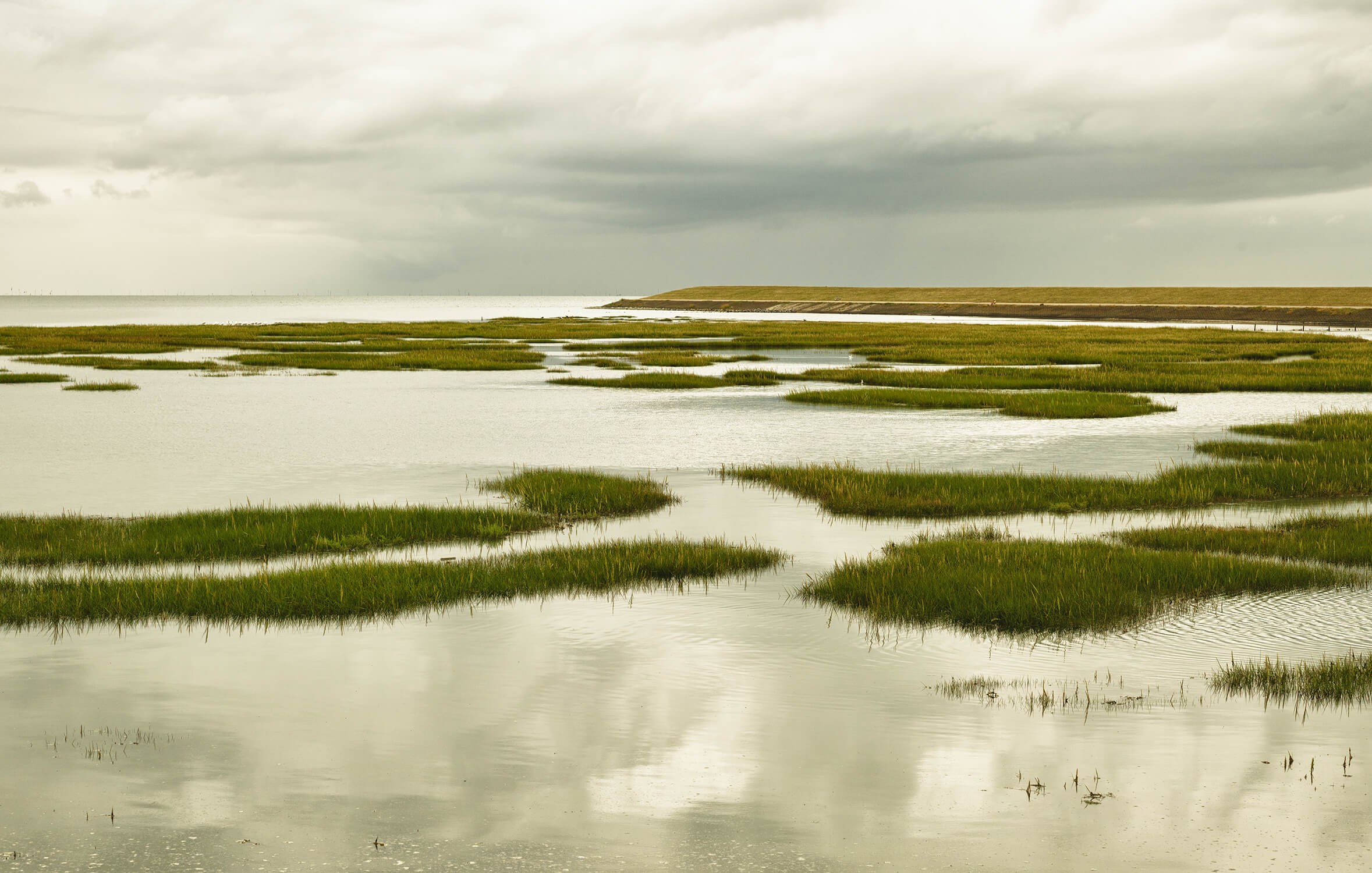 Terschelling Wad 1