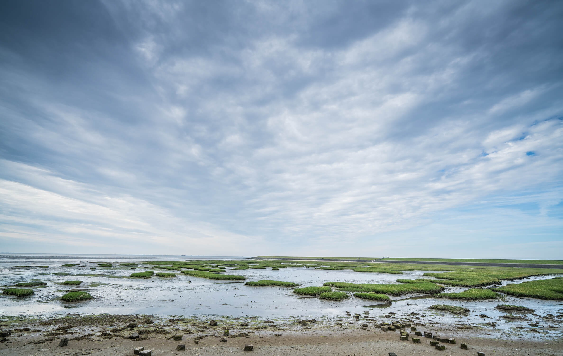 Terschelling Wad 2