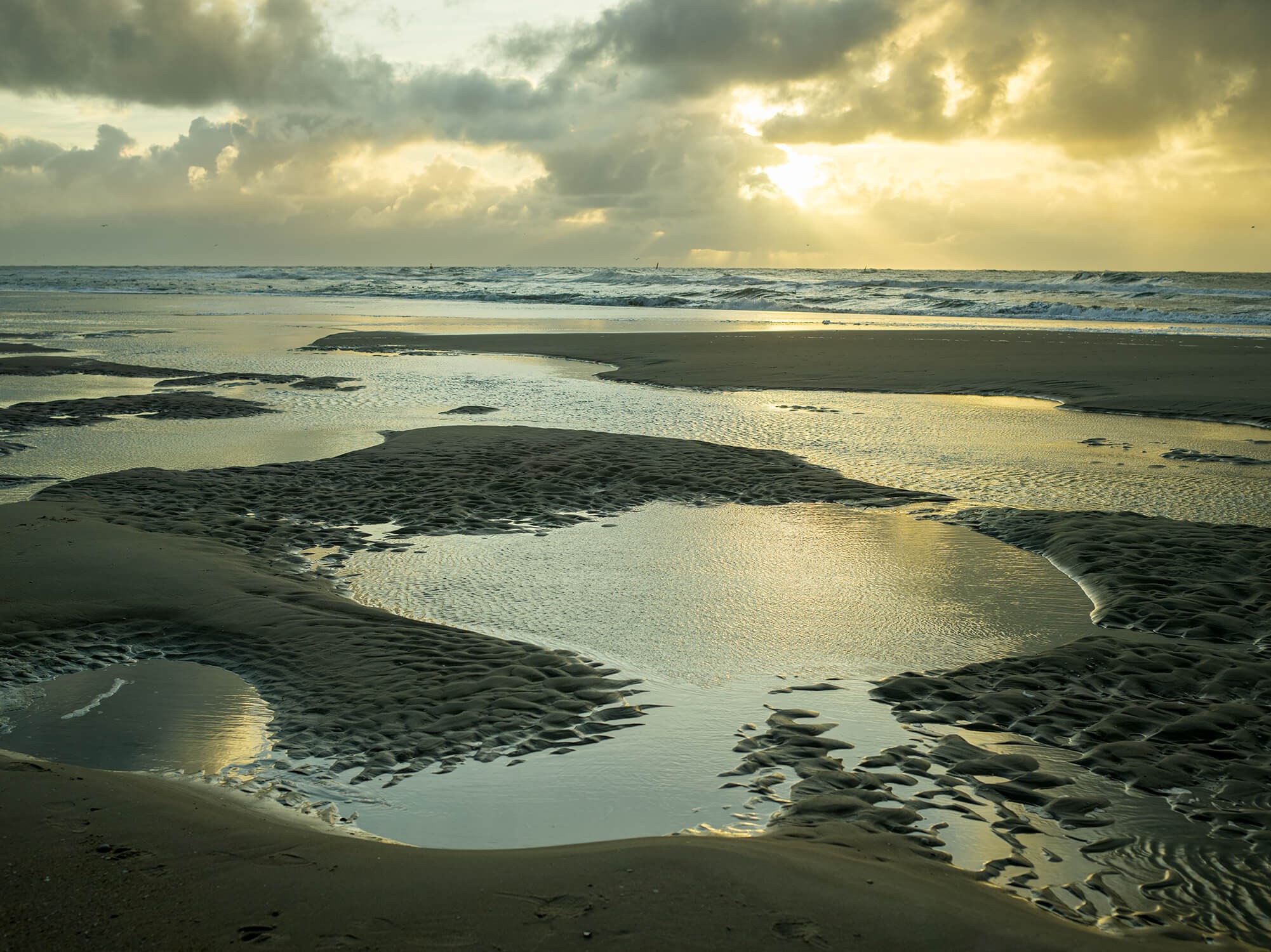 Texel Strand 1