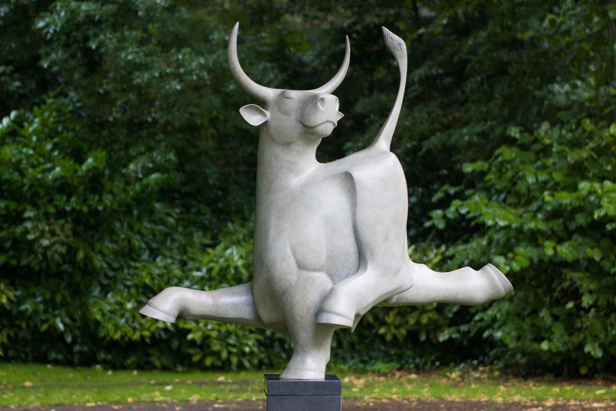 Wandelende stier