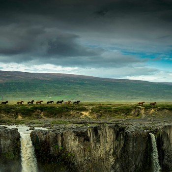 Paarden bij Godafoss