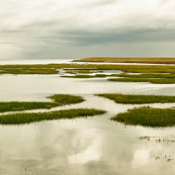 Terschelling Wad 1