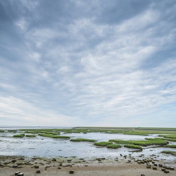 Terschelling Wad 2